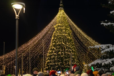 Главная елка Архангельска зажглась в центре города