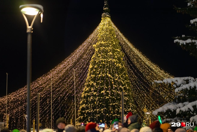 Новогоднюю елку «торжественно открыли» в 16:00 | Источник: Анна Лоскутова / 29.RU