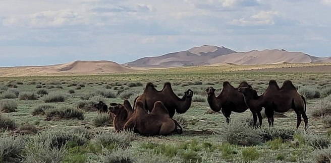 Монголия поразила туриста богатым культурным наследием | Источник: Алексей Котельников