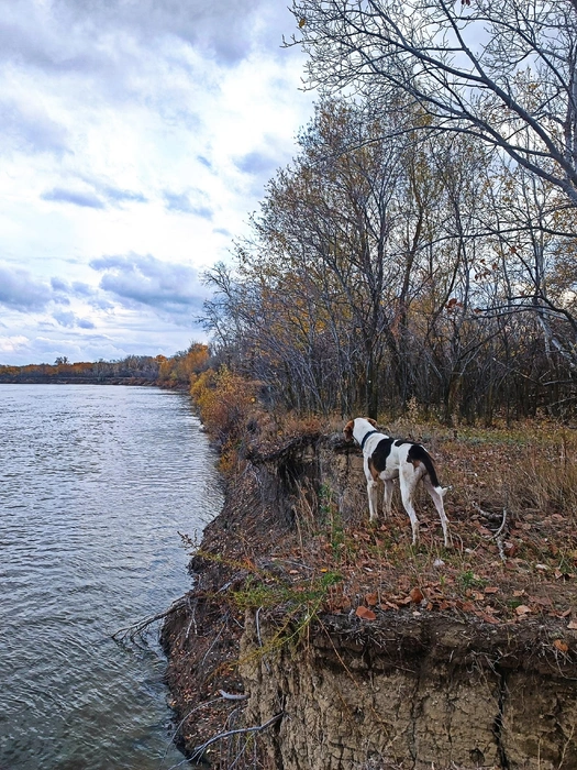 Источник: читатели V1.RU