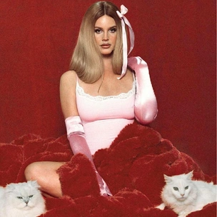 Лана Дель Рей снялась в белье для SKIMS