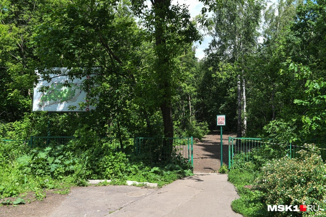 На эту работу в 2025 году выделили более 100 миллионов рублей | Источник: Артём Устюжанин / MSK1.RU