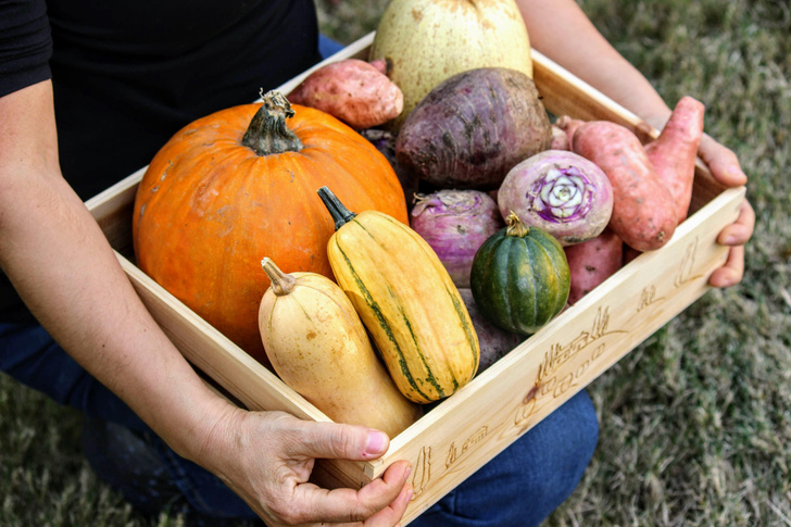 Топ-10 продуктов, которые стоит включить в рацион осенью