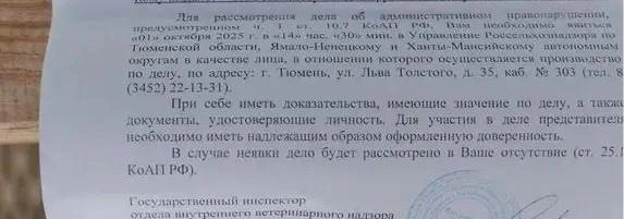 Фрагмент письма, которое пришло некоторым деревенским жителям | Источник: Ирина Шарова / 72.RU