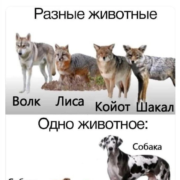 Источник: соцсети
