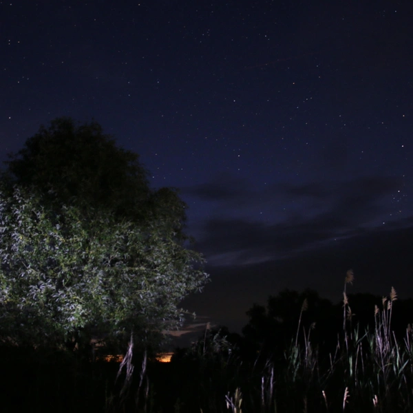 Источник: Наталья Пронина