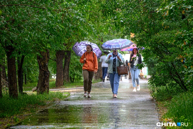 Прогноз погоды в Краснодаре и крае на конец недели | Источник: Олег Фёдоров / CHITA.RU