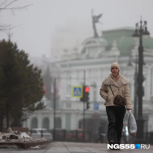 У всех сегодня много дел | Источник: Евгений Софийчук / NGS55.RU