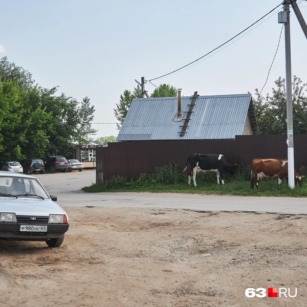 Источник: Роман Данилкин