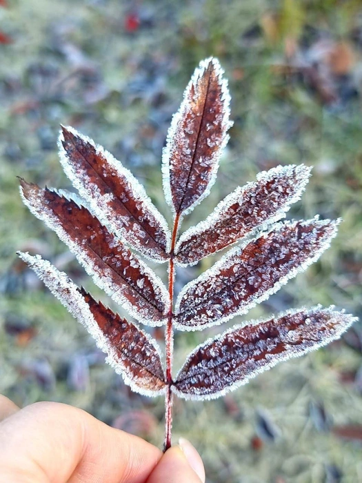 Другие наоборот преображаются, хоть и на время | Источник: Мария Решетникова