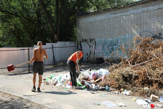 Так ситуация обстояла в июле. Неизвестно, кто сбросил мусор из веток здесь | Источник: Константин Завриков / V1.RU