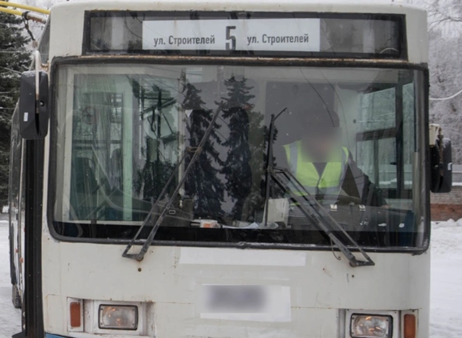 В Рязани временно изменили схему движения двух троллейбусов | ya62.ru