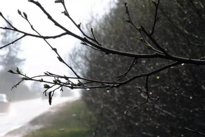 20 апреля в Костроме прогнозируют сильный ветер до 18 м/с