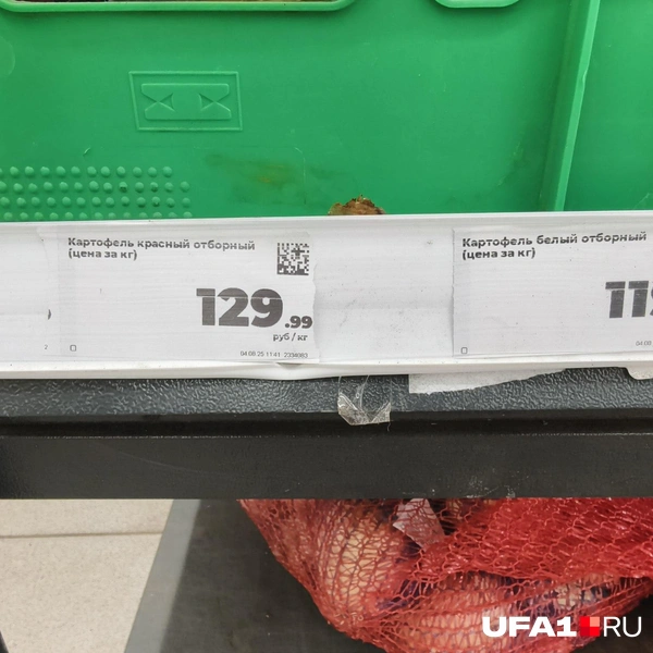 Источник: Булат Салихов / UFA1.RU