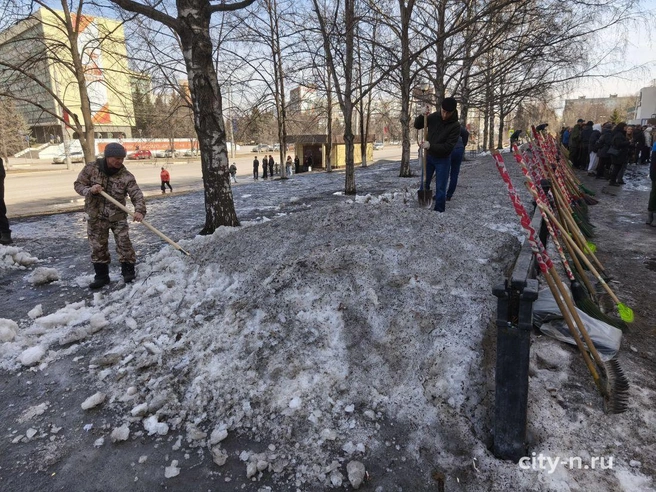 Источник: www.city-n.ru