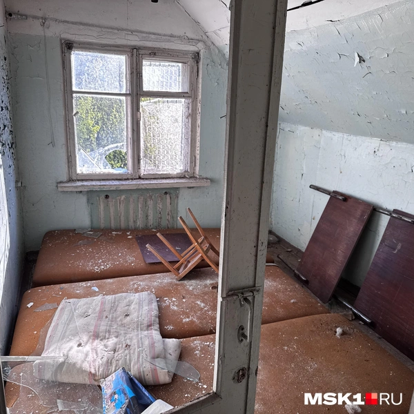 Источник: Алина Мельникова / MSK1.RU