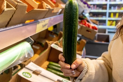 Огурцы подешевели: данные опровергают жалобы