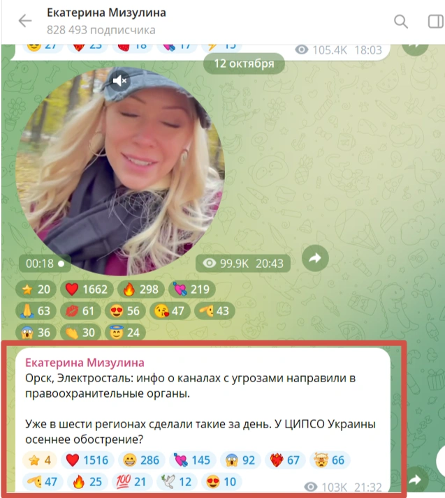 Избранницу певца SHAMAN`а бомбардируют сообщениями о возможных терактах | Источник: Екатерина Мизулина / t.me