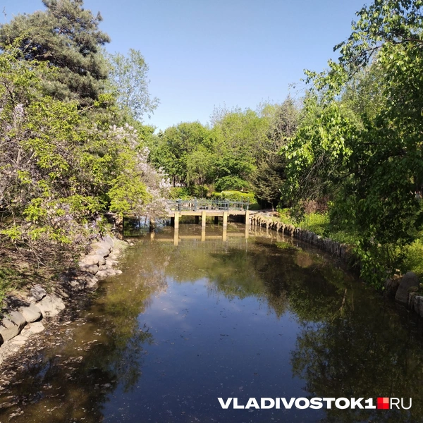 Источник: Екатерина Дымова / VLADIVOSTOK1.RU