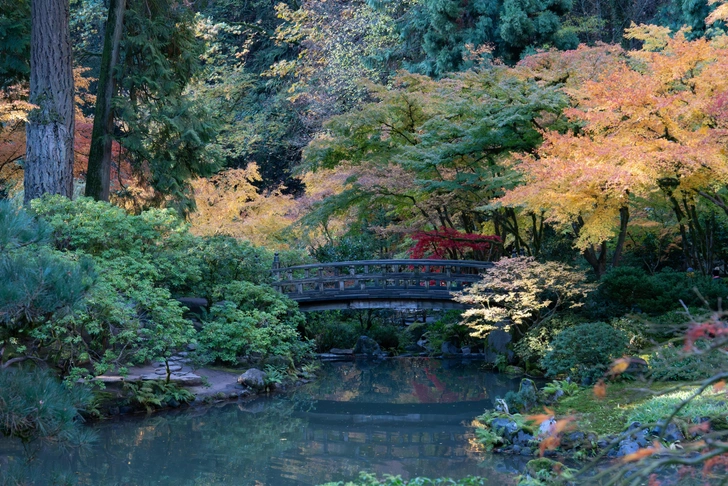Источник: Richard Hedrick / Unsplash