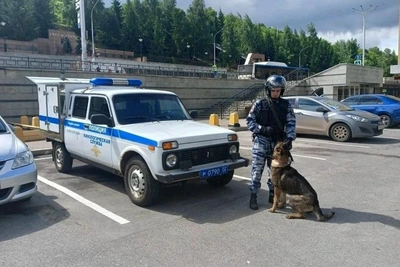 Полицейские и кинологи у вокзала Уфы: антитеррористические учения
