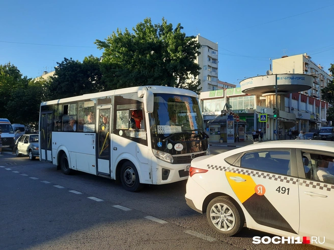 Источник: Анна Грицевич / SOCHI1.RU