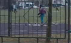 В московской школе сняли детей, занимающихся на лыжах без снега (видео)
