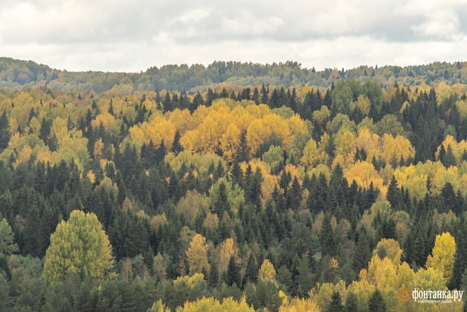 Семья планировала пойти к горе Буратинка  | Источник: Михаил Огнев / FONTANKA.RU
