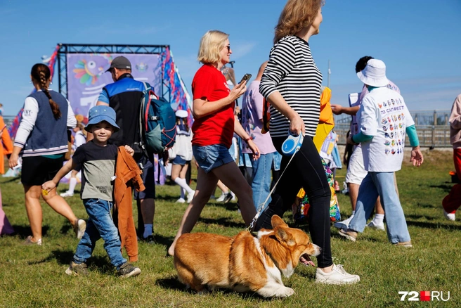 Среди номинаций, в которых получали награды, был заплыв с питомцами, поэтому их на фестивале было немало | Источник: Ирина Шарова / 72.RU