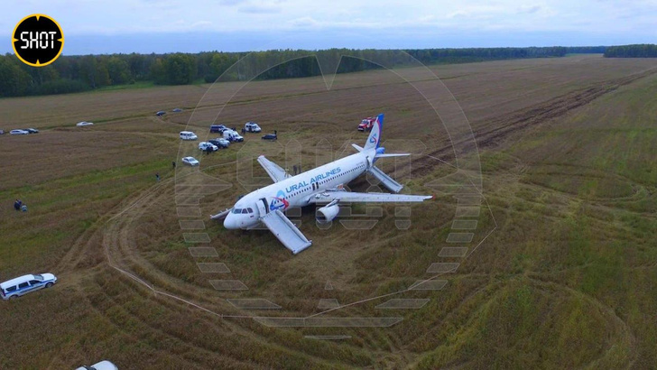 Чудо в пшеничном поле: самолет экстренно сел под Новосибирском — всё самое главное