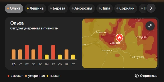 Для аллергиков весна может растянуться на полгода | Источник: Яндекс.Карты