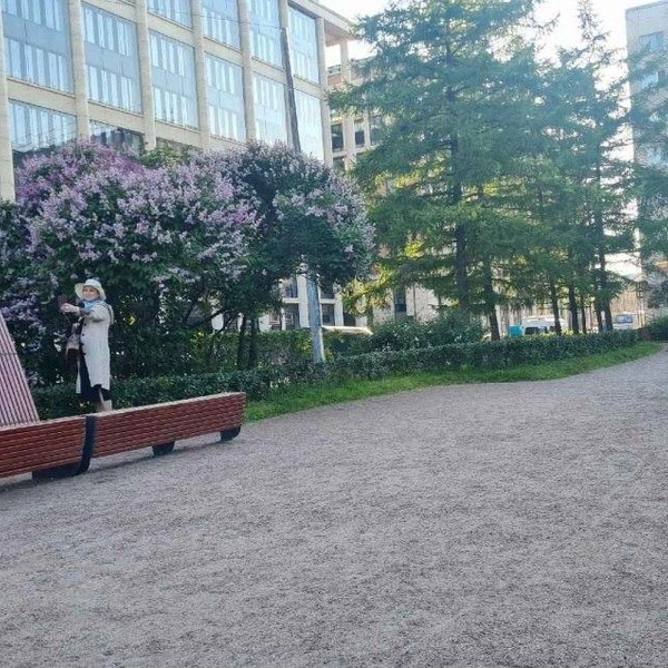 Сквер Пироцкого до нового благоустройства (фотофиксация) | Источник: ЕИС «Закупки»