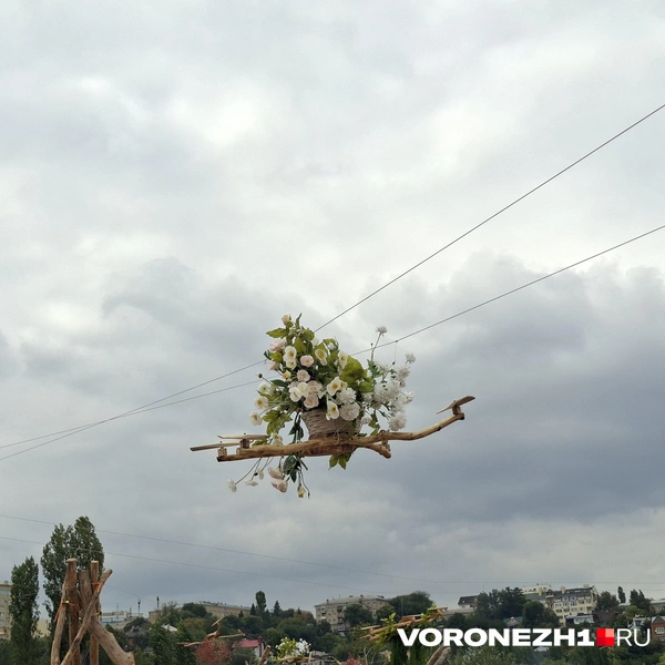 Источник: Алёна Воропаева / Voronezh1.ru