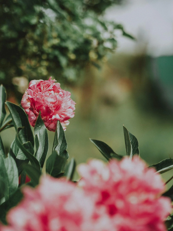 Источник: Unsplash