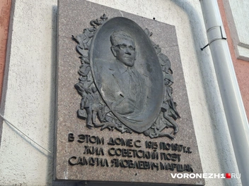 Источник: Алена Воропаева / Voronezh1.ru