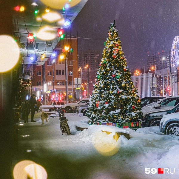 У парковки «горит» елочка | Источник: Тимофей Калмаков / 59.RU