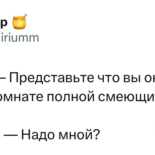 Источник:  X (Twitter)