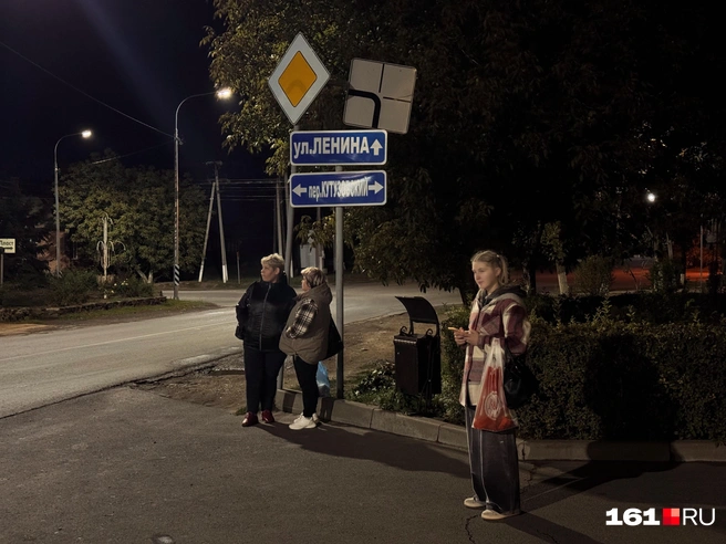 Автобусная остановка на улице Ленина. Николаевка | Источник: Ирина Бабичева / 161.RU