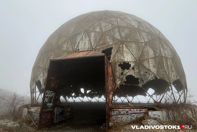 Источник: Елена Буйвол / VLADIVOSTOK1.RU
