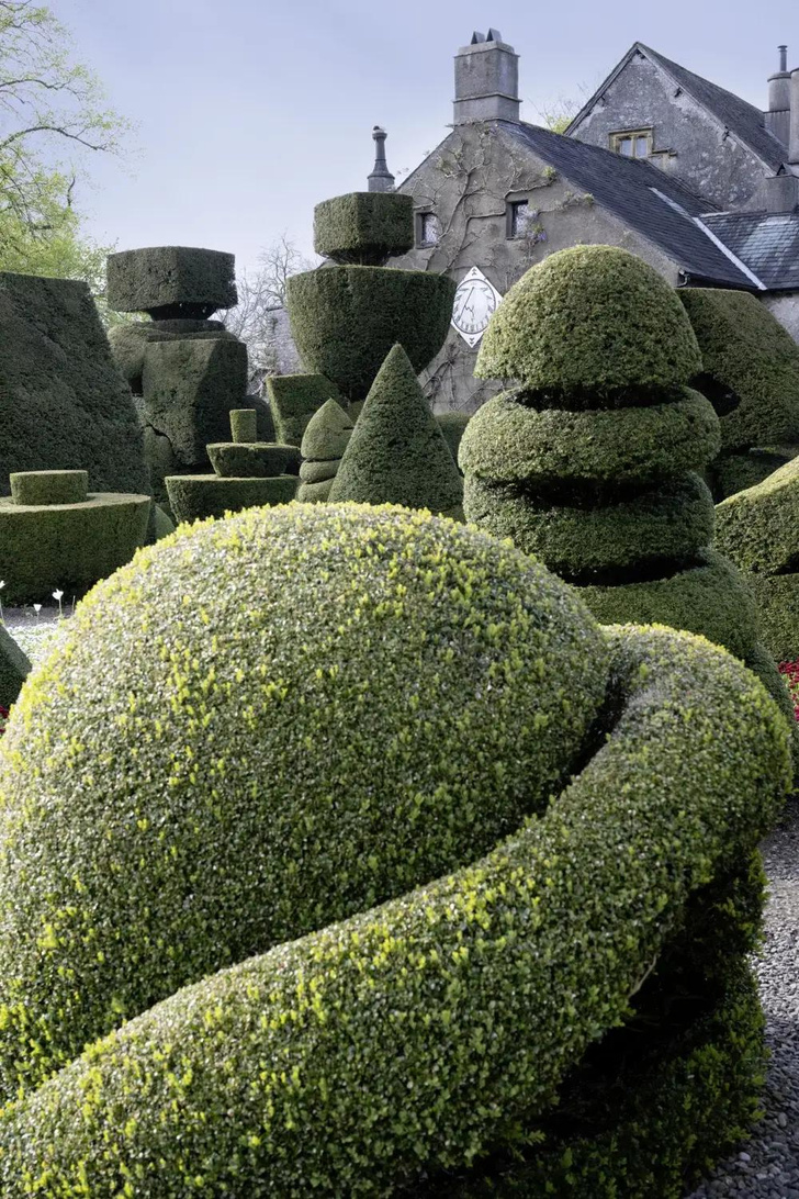 Стричь и поливать: трехсотлетний топиарный сад в Левенс-Холле