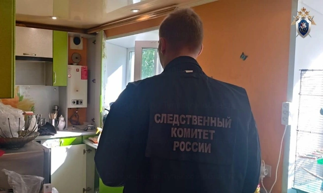 Возбуждено уголовное дело | Источник: СУ СК России по Тульской области