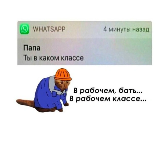 После образования — высокооплачиваемая работа | Источник: Memexpert.net