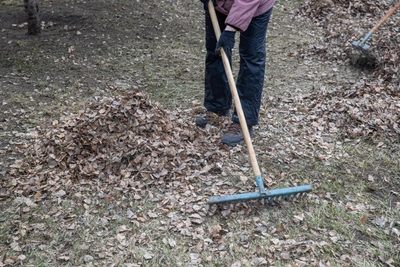 Общегородские субботники в Уфе: весна 2026