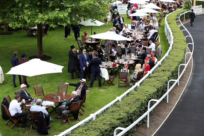 Меган Маркл на Royal Ascot: что нужно знать о самых красивых королевских скачках года