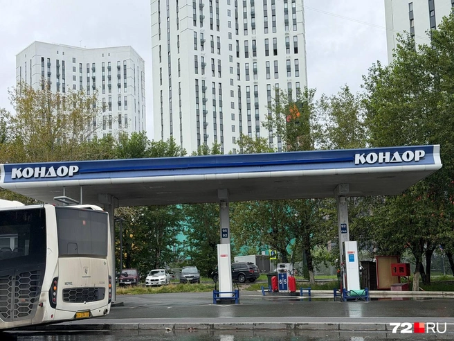 «Дорого, но выбора нет». Как журналисты 72.RU искали бензин и очереди на заправках Тюмени и Ялуторовска — хроника  | Источник: Анастасия Малышкина / 72.RU