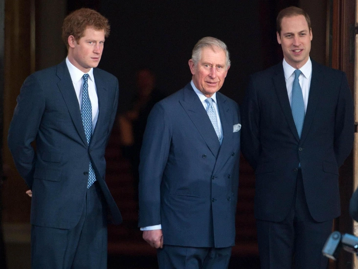 Принц Гарри, принц Чарльз и принц Уильям на лондонской конференции, 13 февраля 2014