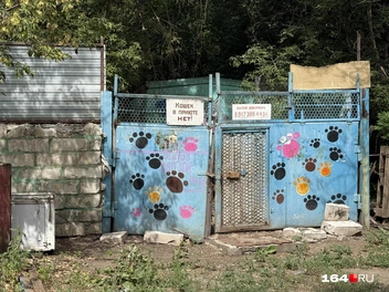 Последний сохранившийся дом поселка Крекинг&nbsp;— сейчас собачий приют | Источник: Сергей Петунин / 164.RU