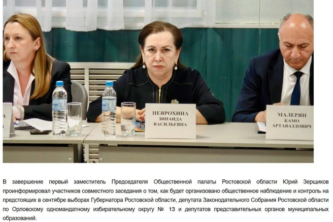 Источник: скриншот с сайта Ростовской гордумы