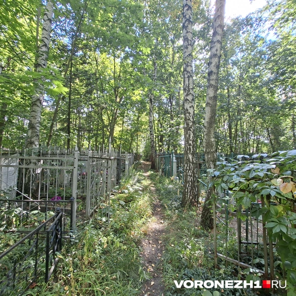 Источник: Алёна Воропаева / Voronezh1.ru