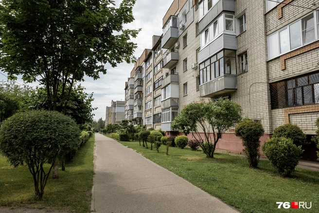 По обе стороны тротуара на улице Маланова можно увидеть ухоженную зеленую зону с аккуратным газоном и деревьями | Источник: Александр Куренной / 76.RU